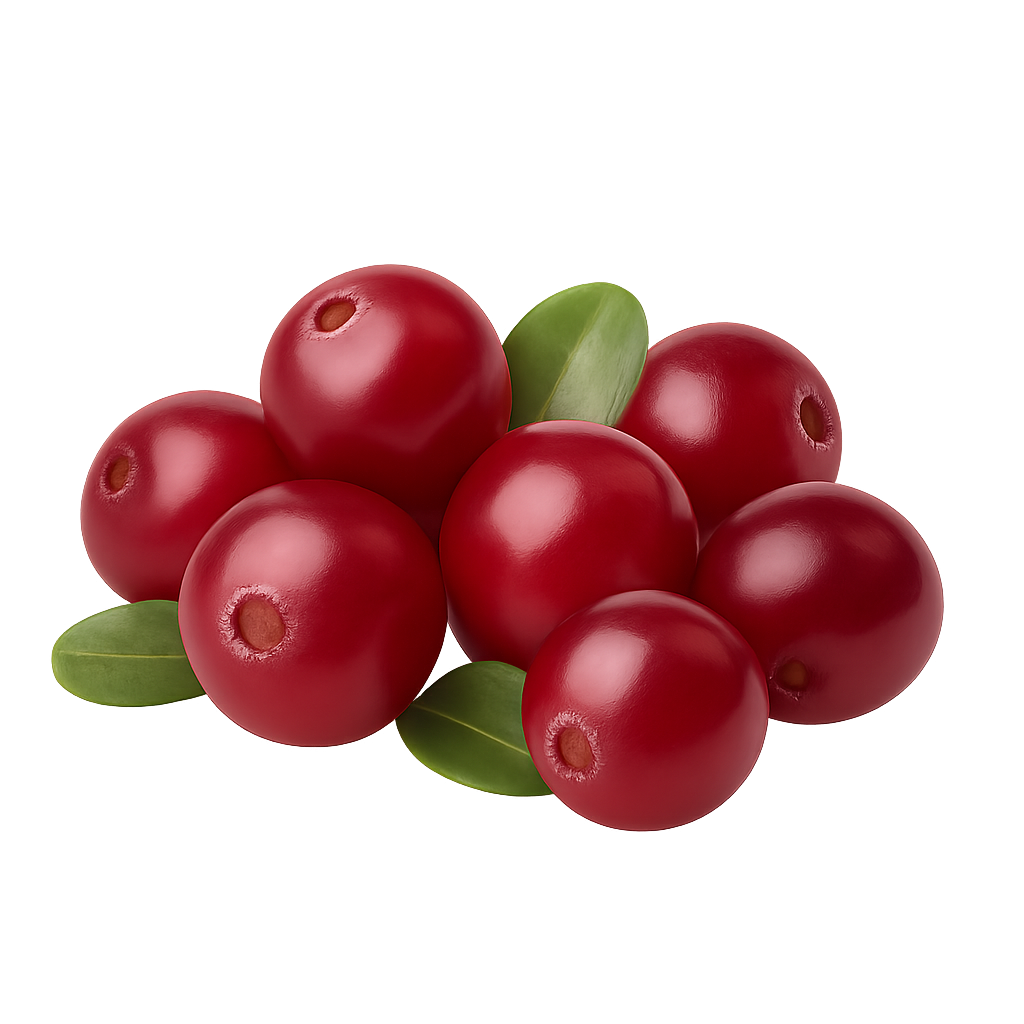 Frische rote Cranberrys in Nahaufnahme, dekorativ mit kleinen grünen Blättern.