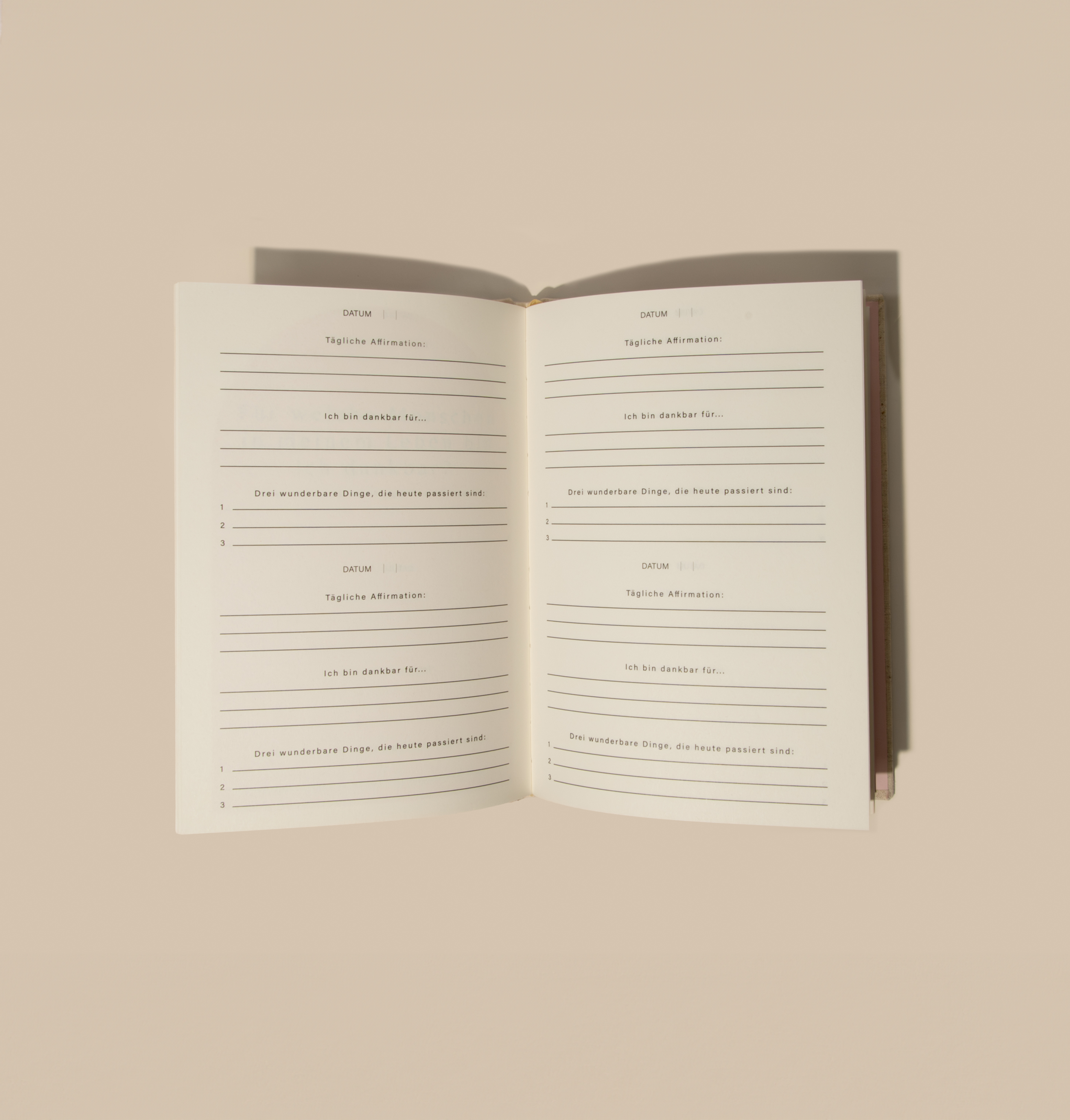 Gratitude Journal | Holistic Healing