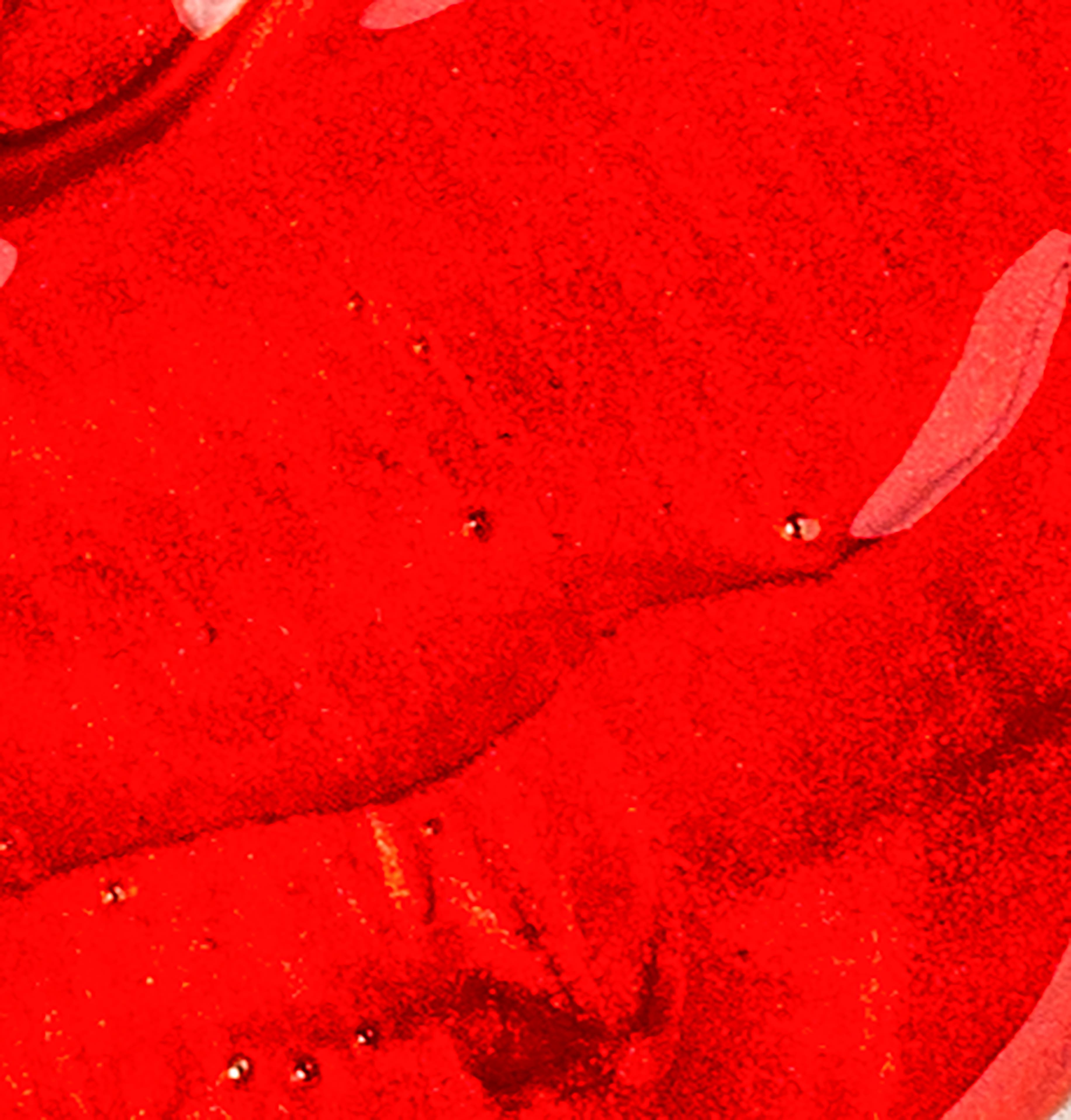 Colored Lip Balm | Berry Red