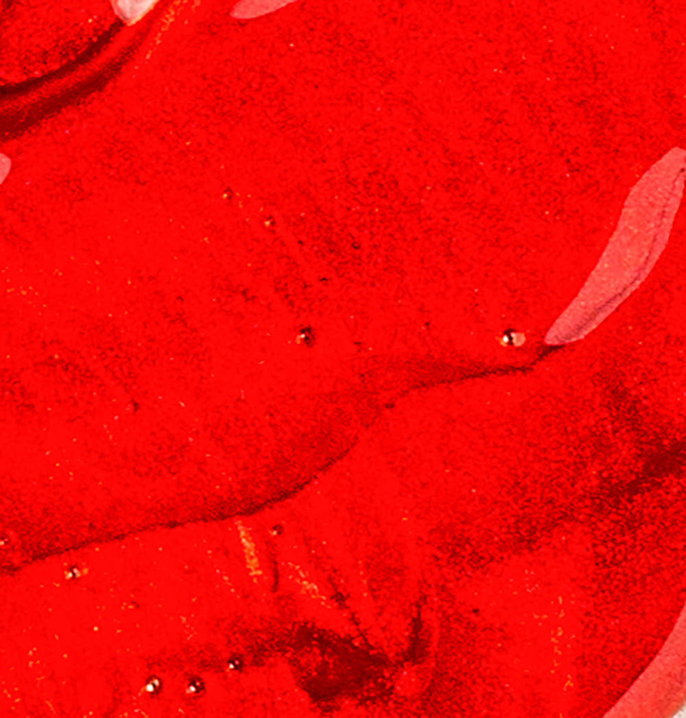 Colored Lip Balm | Berry Red